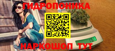 прущие крисы Кулебаки