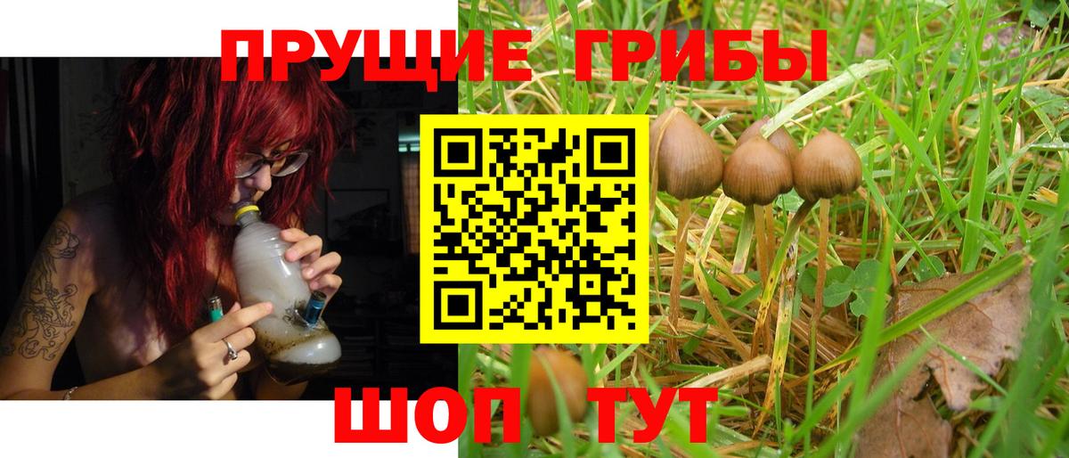 Псилоцибиновые грибы GOLDEN TEACHER  Вход с VPN  Галлюциногенные грибы ЛСД  закладка  Заволжье 