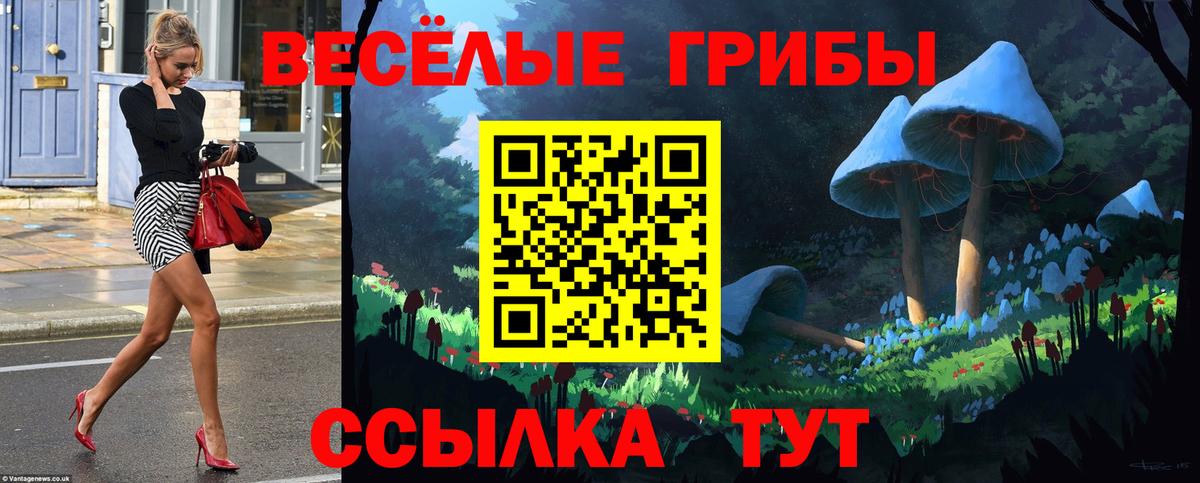 Галлюциногенные грибы MAGIC MUSHROOMS Заволжье